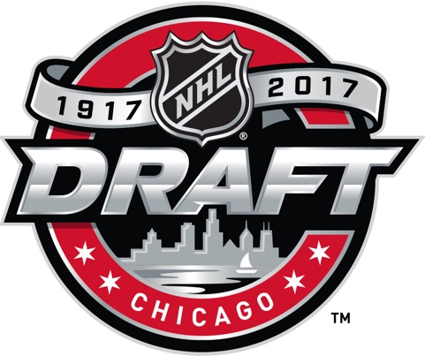 NHL Draft 2017 Primary Logo DIY iron on transfer (heat transfer)